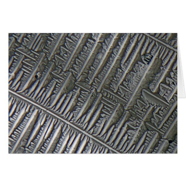 Epsomite debajo del microscopio (Anverso (Horizontal))