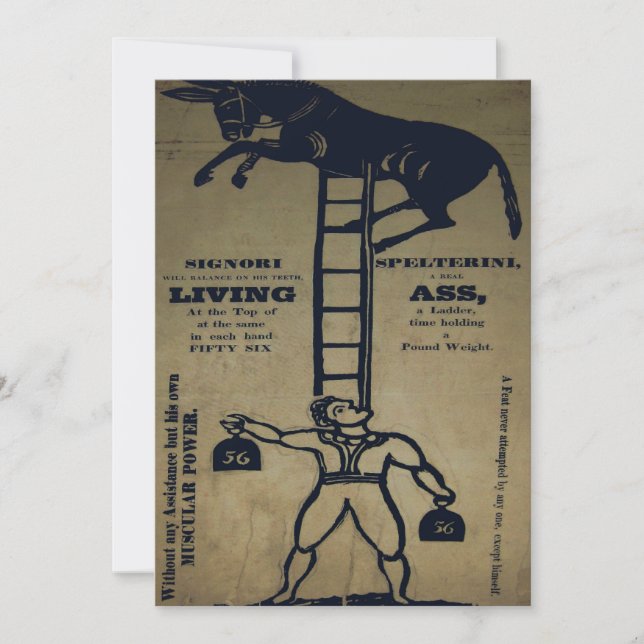 Equilibrar un burro vivo ~ Invitaciones (Anverso)