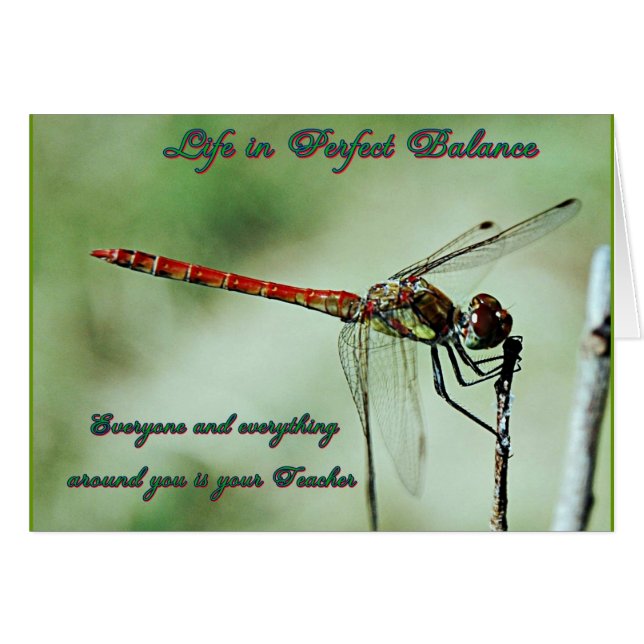 Equilibrio con la naturaleza (Anverso (Horizontal))