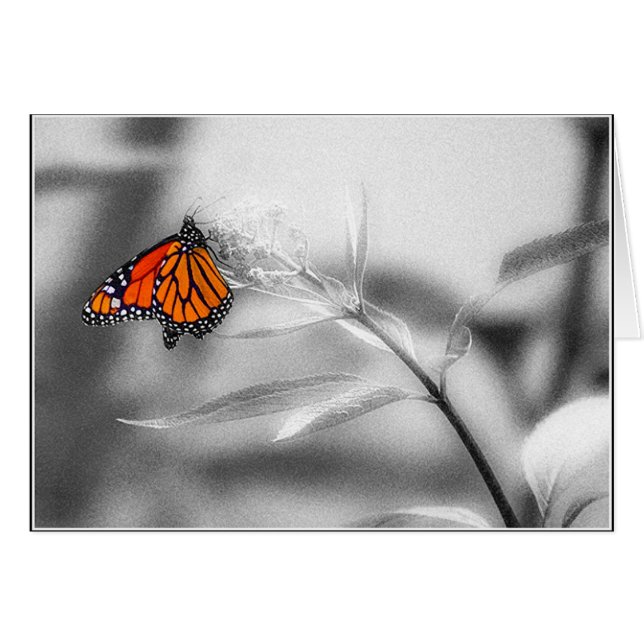 Equilibrio delicado (Anverso (Horizontal))