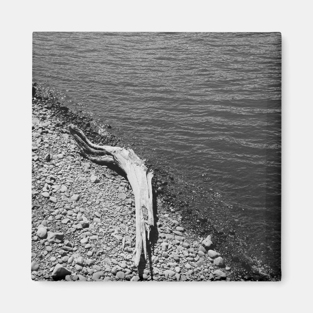 Equilibrio natural - Imán de vida residual de la m (Frente)