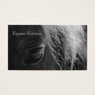 Equine Up Close