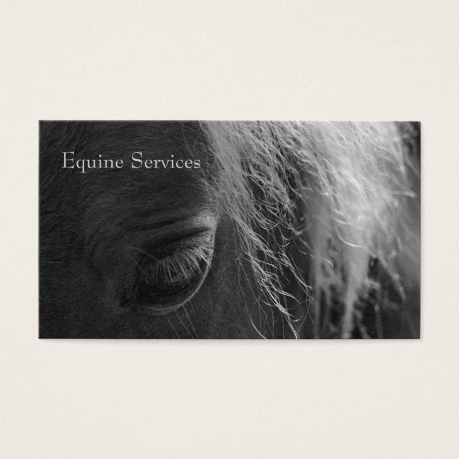 Equine Up Close (Frente)