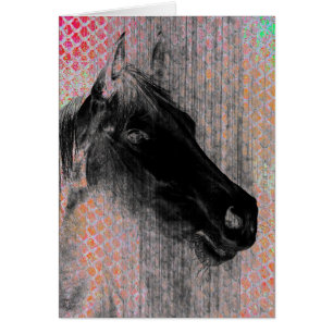 Equino 2