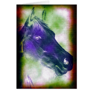 Equino 3