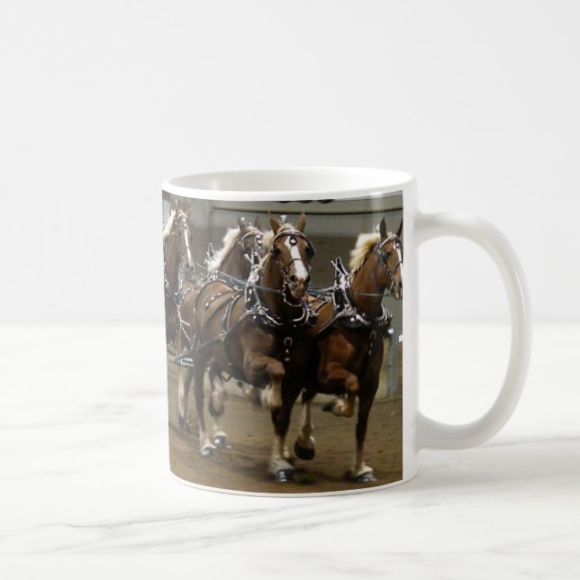 Equipo belga en taza del arnés (Derecha)