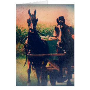Equipo de caballos de Amish