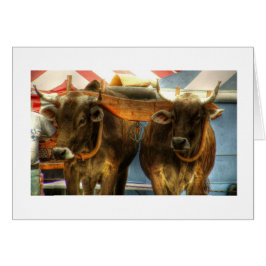 Equipo de los bueyes en el bocadillo justo: