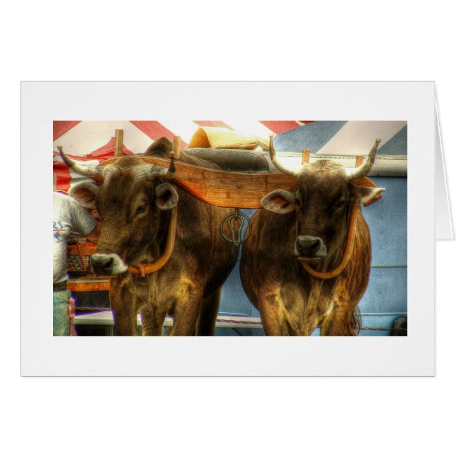 Equipo de los bueyes en el bocadillo justo: (Anverso (Horizontal))