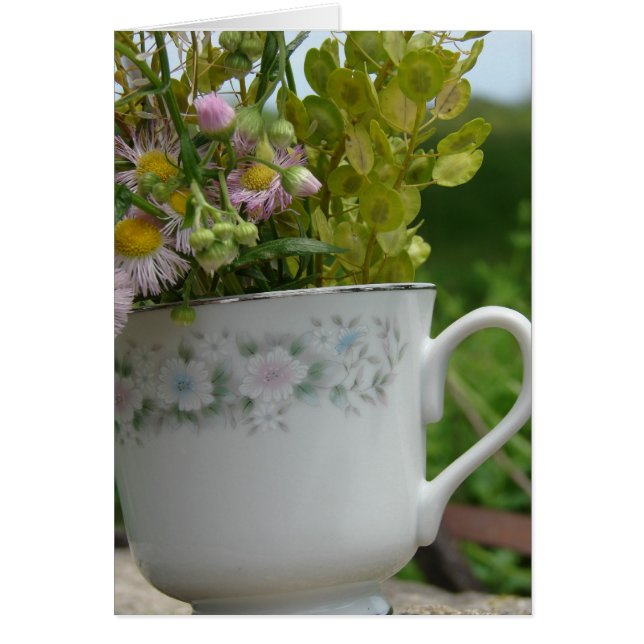 Equipo de malezas (Frente)