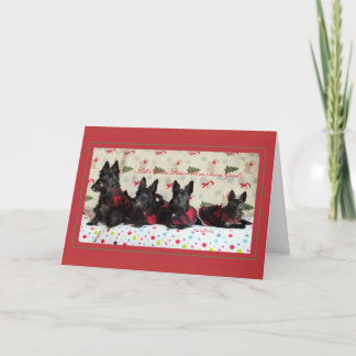 Equipo del navidad del escocés