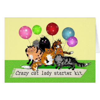 Equipo loco del arrancador de la señora del gato.