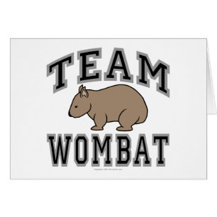 Equipo Wombat V