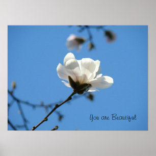 Eres arte de cartel Hermoso cielo azul magnolia