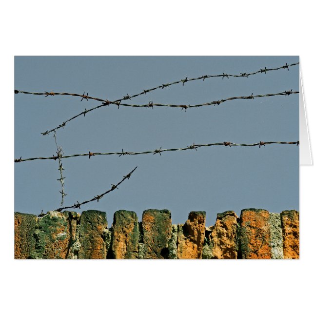 ¡Eres Barbed! (Anverso (Horizontal))