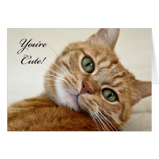 ¡Eres Cute! (Anverso (Horizontal))