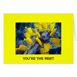¡Eres el mejor!
