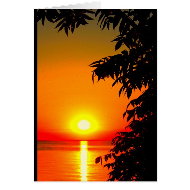 ¡Eres El Sol De Mi Vida! (Frente)