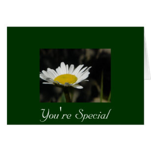 Eres especial