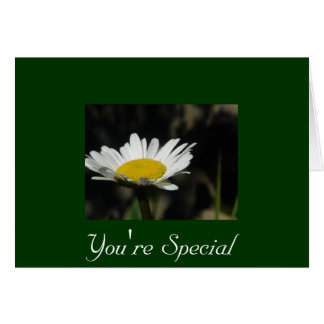 Eres especial