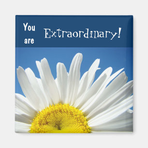 ¡Eres Extraordinario! imanes Blue Sky Daisy