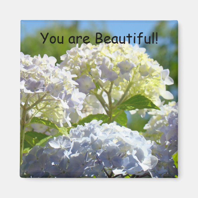 ¡Eres Hermosa! imán Flores de Hortensias Iluminada (Frente)