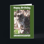 ERES INCREÍBLE **GRANDDAUGHTER** TARJETA DE CUMPLE<br><div class="desc">¡¡¡MUCHAS GRACIAS POR DETENERME EN UNA DE MIS OCHO TIENDAS!!!</div>