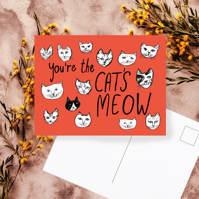 ERES LA PERA Gatitos Lindos  Tarjeta Postal (YOU'RE THE CAT'S MEOW Cute Kittens hand drawn painted Funny Love Postcard
)