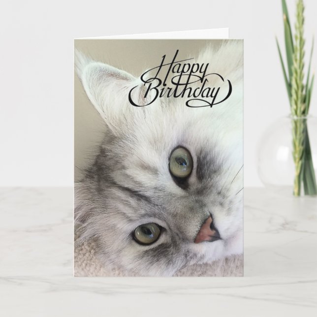 Eres la tarjeta de cumpleaños de Meowvelous (Anverso)