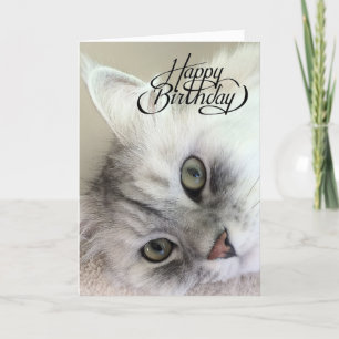 Eres la tarjeta de cumpleaños de Meowvelous