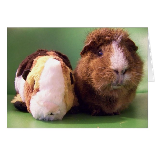 Eres la verdadera tarjeta de oferta (Anverso (Horizontal))