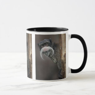¿Eres mi barbero? Taza