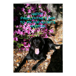 Eres mi carta favorita de San Valentín de la mujer