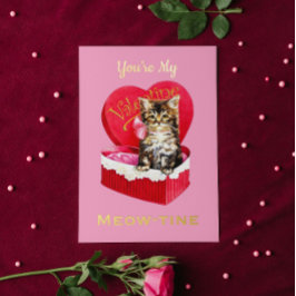 Eres mi Meow-tine lindo gato vintage de San Valent