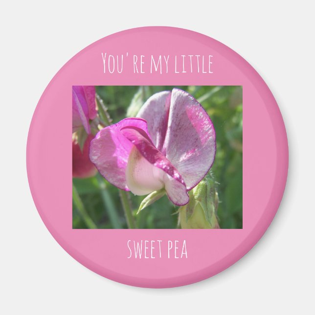 Eres mi pequeño imán de arveja dulce (Frente)