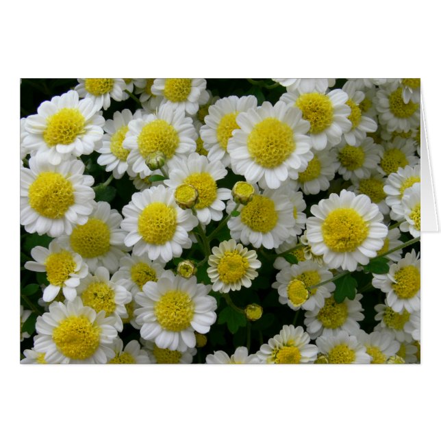 Eres mi sol (Anverso (Horizontal))