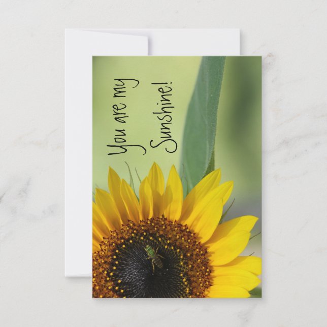 Eres mi tarjeta Sunshine (Anverso)