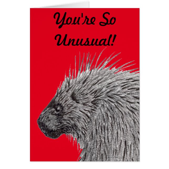 Eres tan inusual Porcupine (Frente)