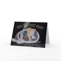 ¿Eres tan viejo? Funny tarjeta de cumpleaños Cat