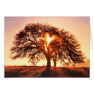 Eres un corazón querido y un roble