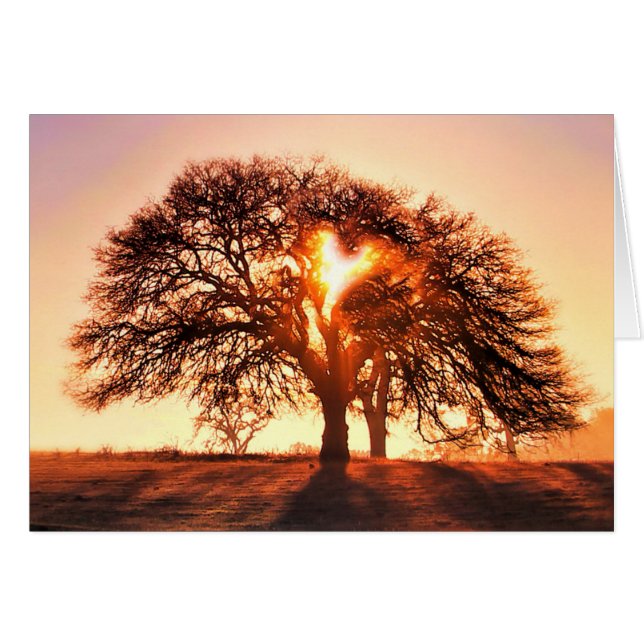 Eres un corazón querido y un roble (Anverso (Horizontal))