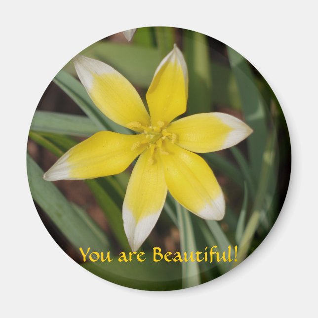 Eres un imán de flores hermosas (Frente)