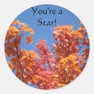 ¡Eres una Estrella! pegatinas Hojas de árbol otoña