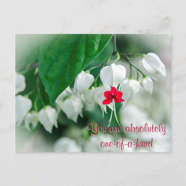 Eres una postal única (Anverso)