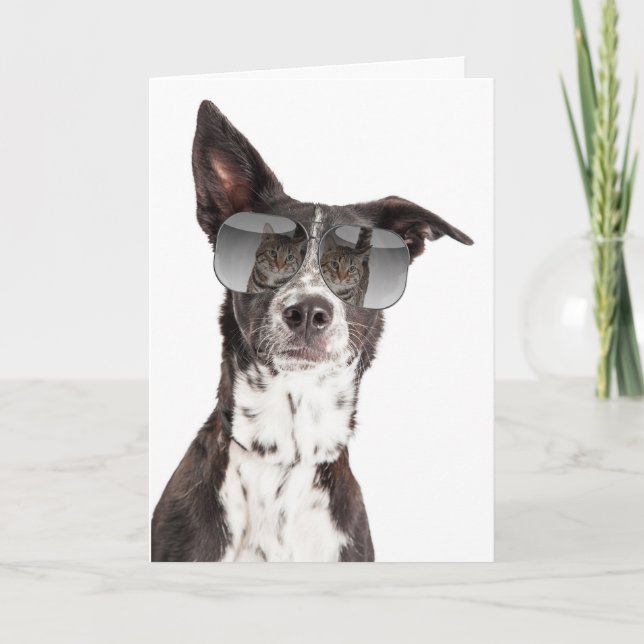 Eres una tarjeta de amistad para gatos de Guay (Anverso)