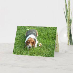 "Eres Uno En Un Millón" - Una Tarjeta Sólo Porque