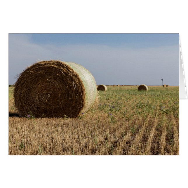 Erick, Oklahoma, EE. UU. - Ruta 66 (Anverso (Horizontal))