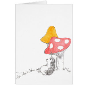 Erizo de la reflexión