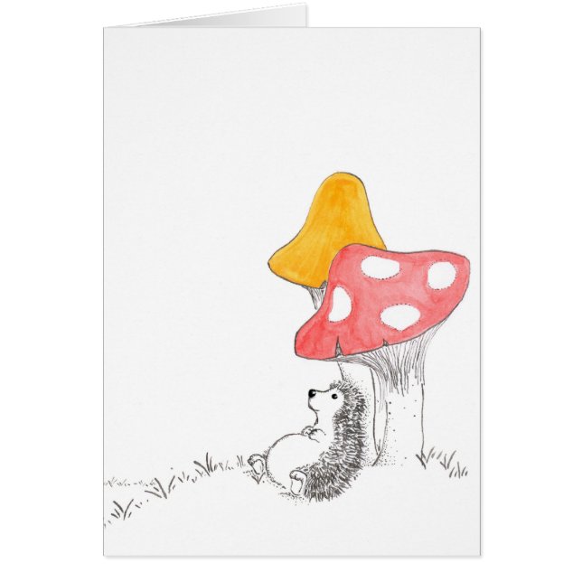 Erizo de la reflexión (Frente)