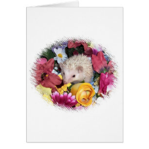 Erizo entre las flores